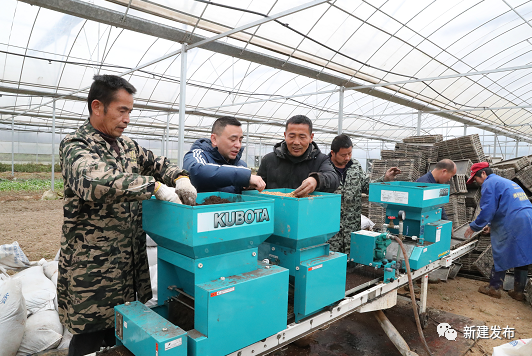 舉辦種植技術培訓班,團購農業機械等同時,大力推廣工廠化育秧技術運用